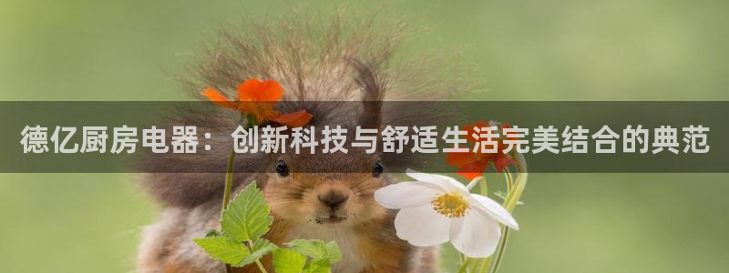 鸿运国际外汇平台