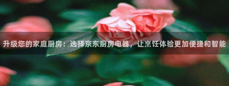鸿运福星缴费平台