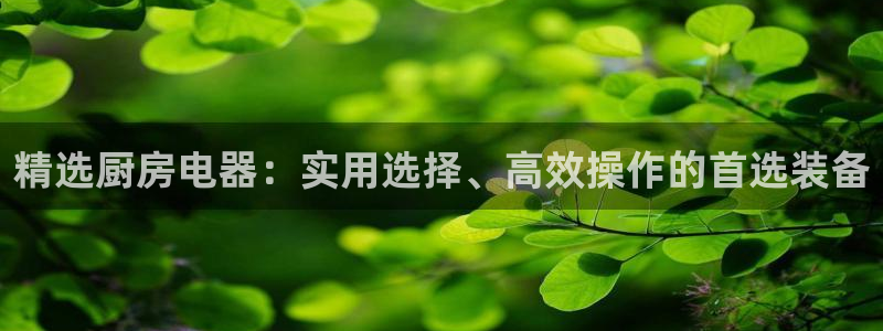 鸿运国际黑平台