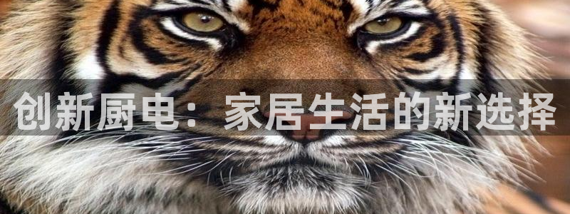鸿运彩票平台登入