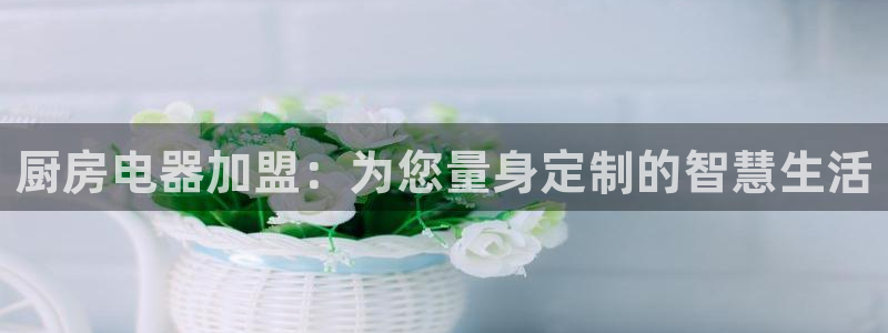 鸿运国际娱平台