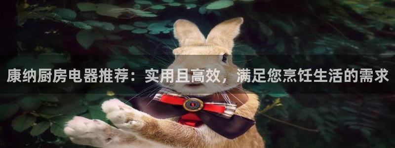 鸿运网彩票平台