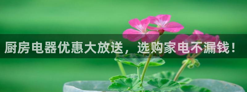 鸿运平台测速