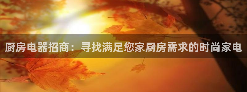 鸿运国际平台平台怎么样