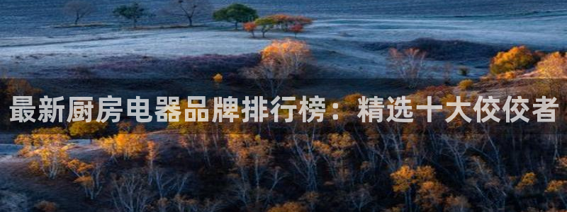 鸿运来彩票平台