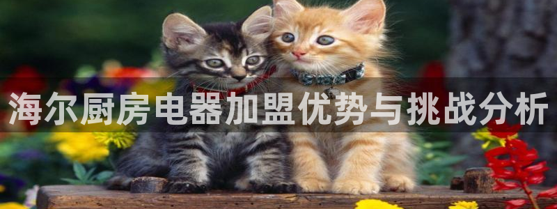 鸿运食品团购平台