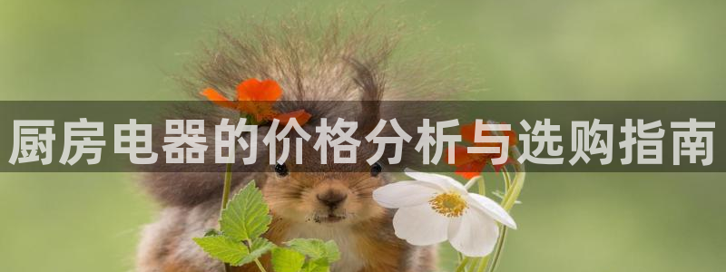 鸿运网938777平台